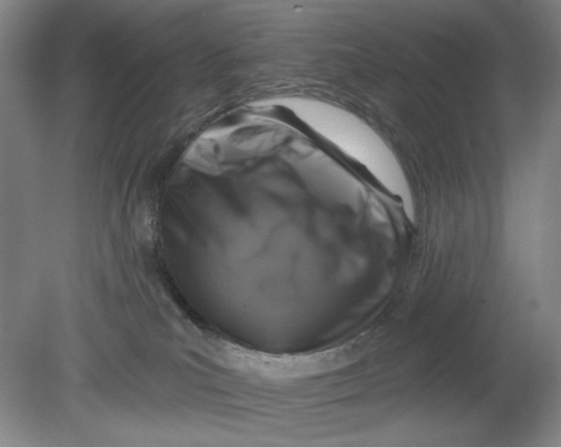 X0000080740039200701051156