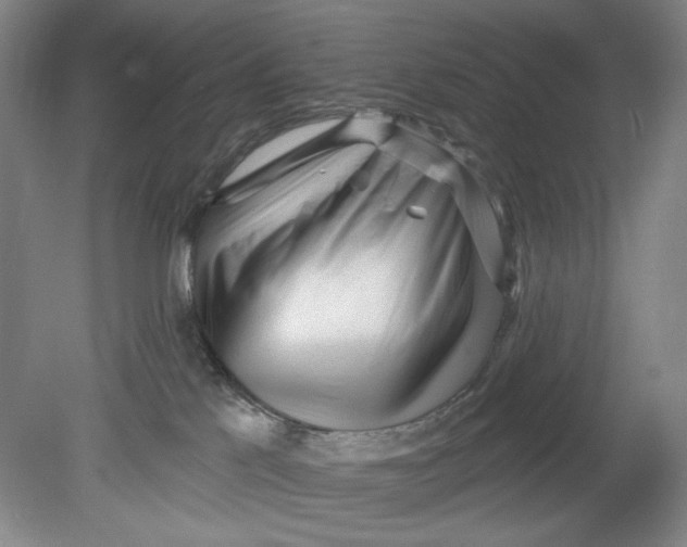 X0000080740041200701051156