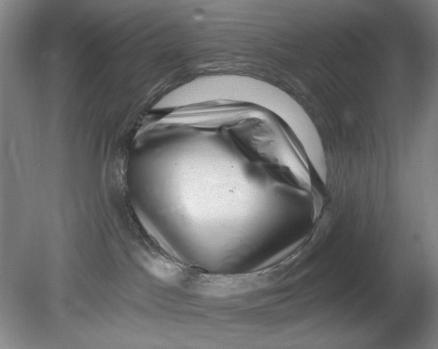 X0000080740045200701051156