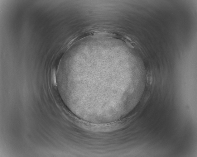 X0000080740046200701051156