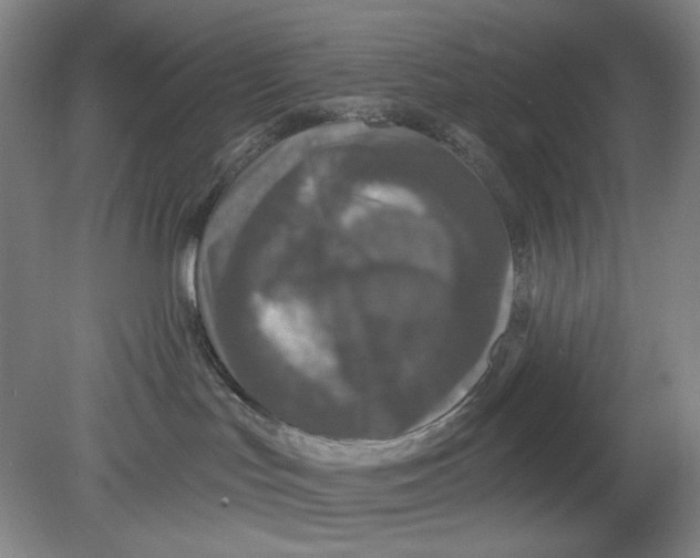 X0000080740047200701051156