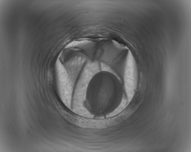 X0000080740048200701051156