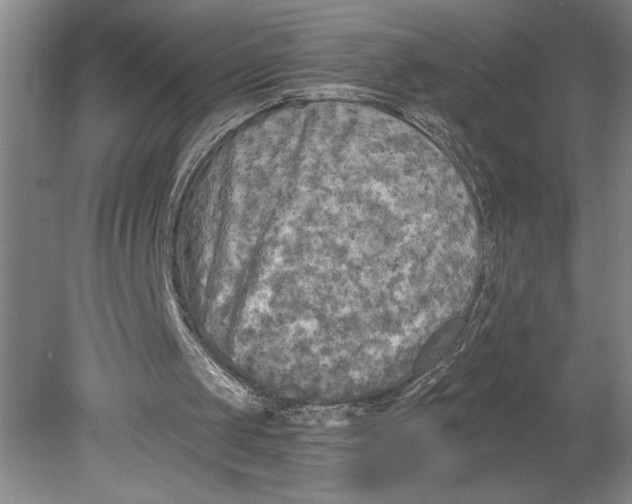 X0000080740049200701051155