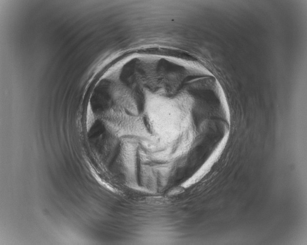 X0000080740050200701051155