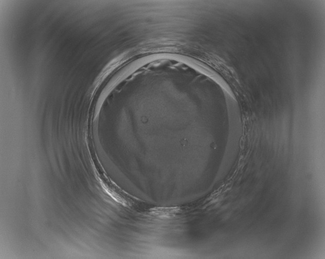 X0000080740051200701051155