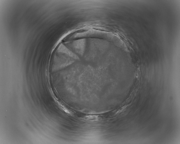 X0000080740052200701051155