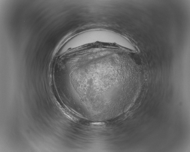 X0000080740053200701051155