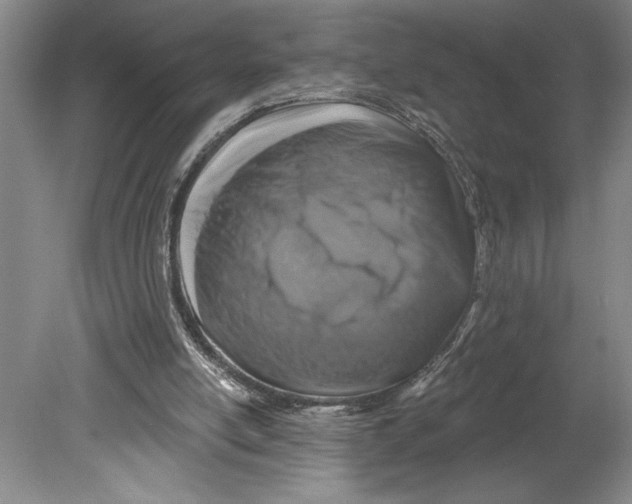 X0000080740054200701051155