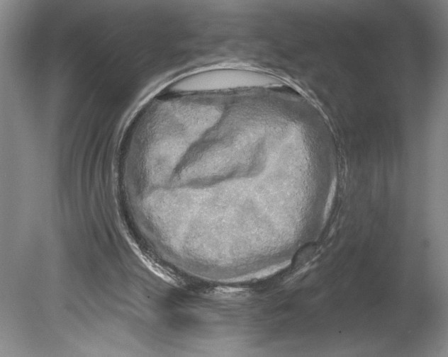 X0000080740055200701051155