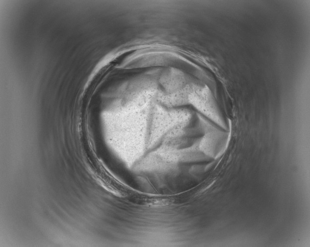 X0000080740056200701051155