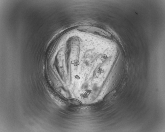 X0000080740059200701051155