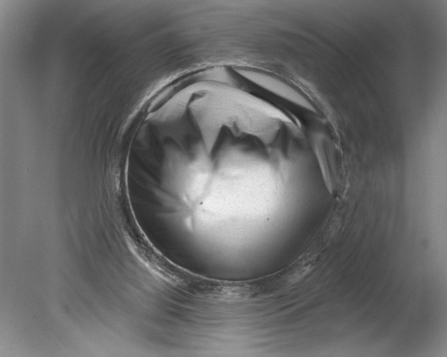 X0000080740060200701051155