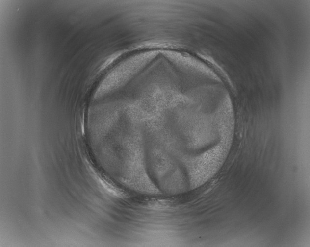 X0000080740062200701051155