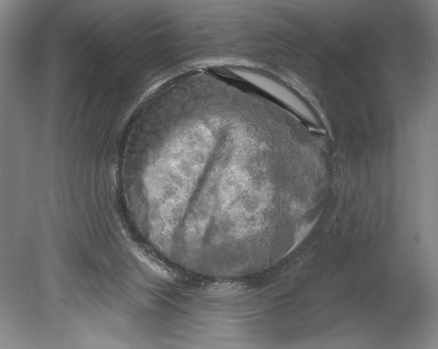 X0000080740063200701051155