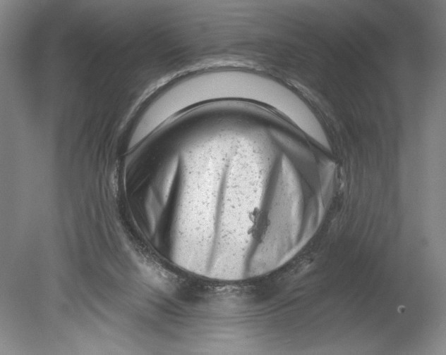 X0000080740064200701051155