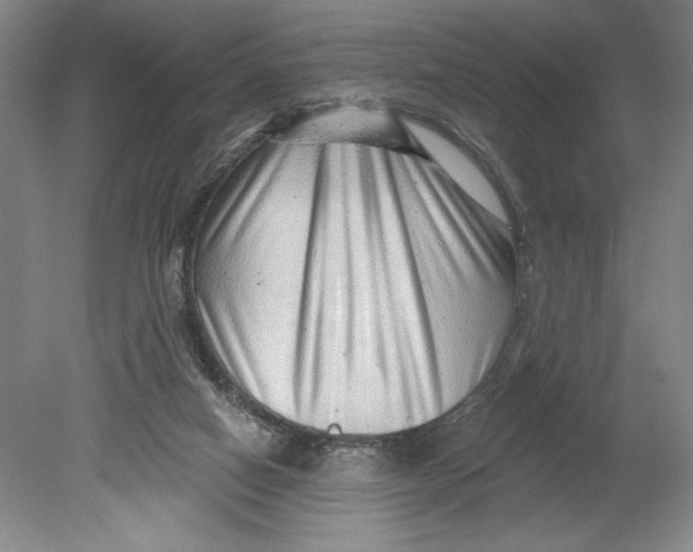 X0000080740066200701051155