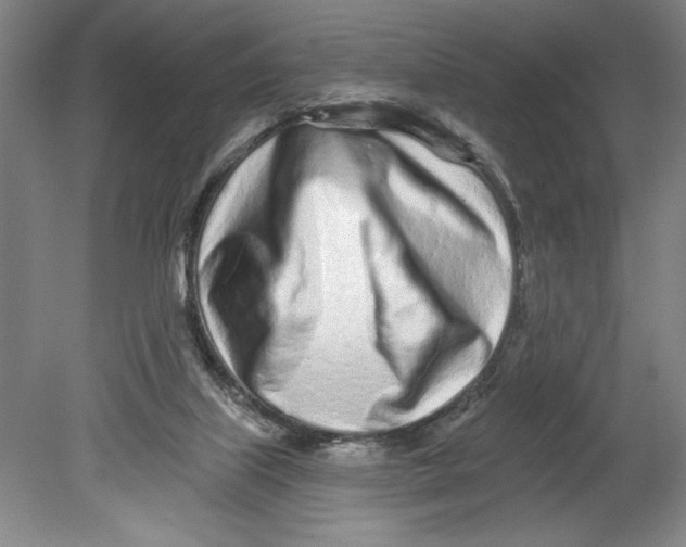 X0000080740067200701051155