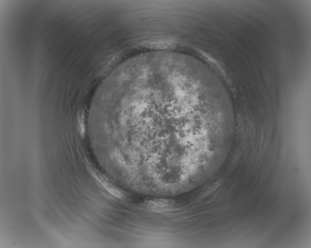 X0000080740069200701051155