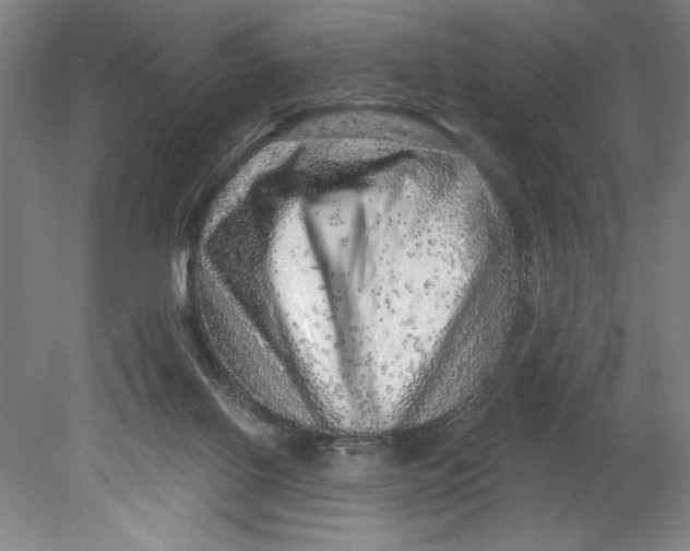 X0000080740070200701051155