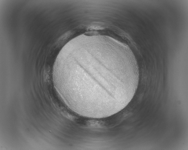 X0000080740073200701051155