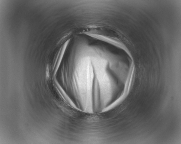 X0000080740075200701051155