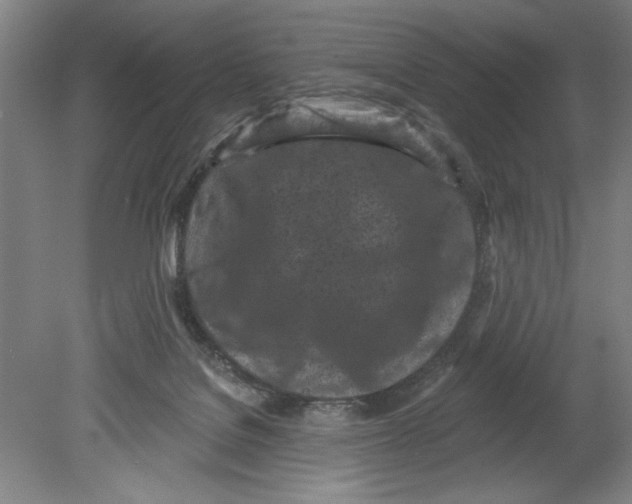 X0000080740076200701051155