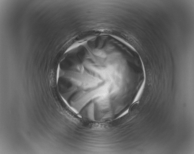 X0000080740077200701051155