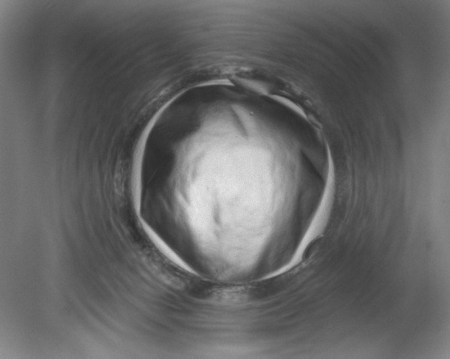 X0000080740078200701051155