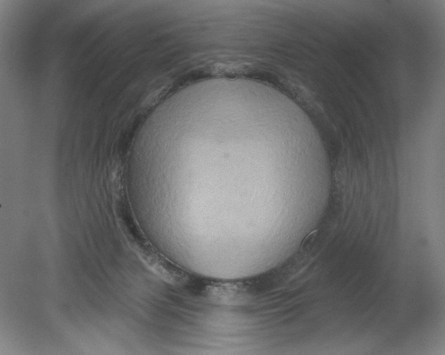 X0000080740079200701051155