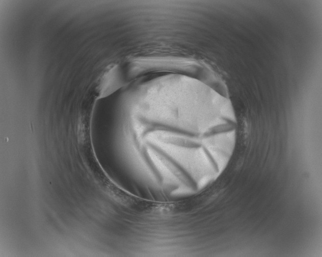 X0000080740080200701051155