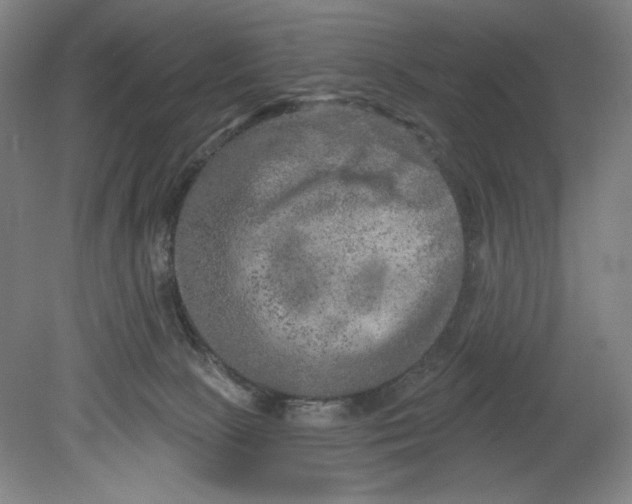 X0000080740081200701051155