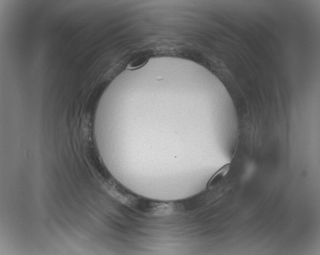 X0000080740083200701051155