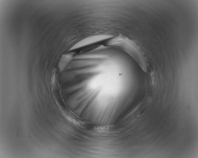 X0000080740084200701051155