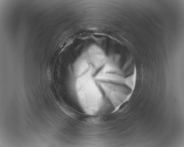 X0000080740086200701051155