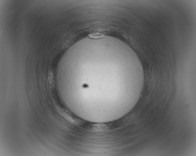 X0000080740087200701051155