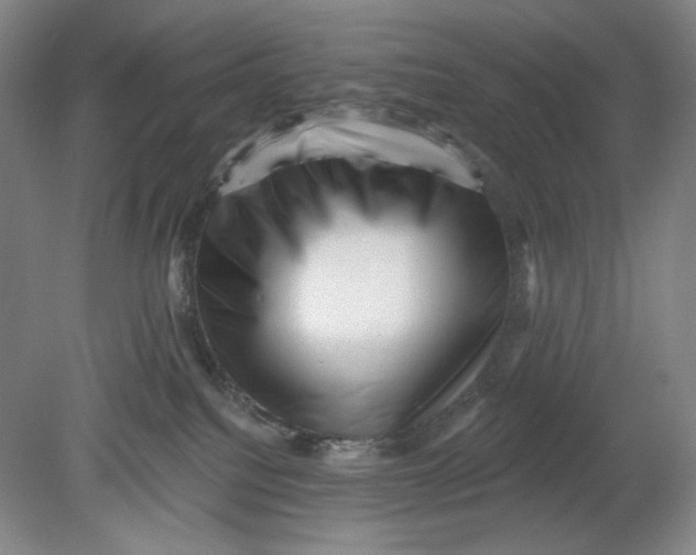 X0000080740088200701051156