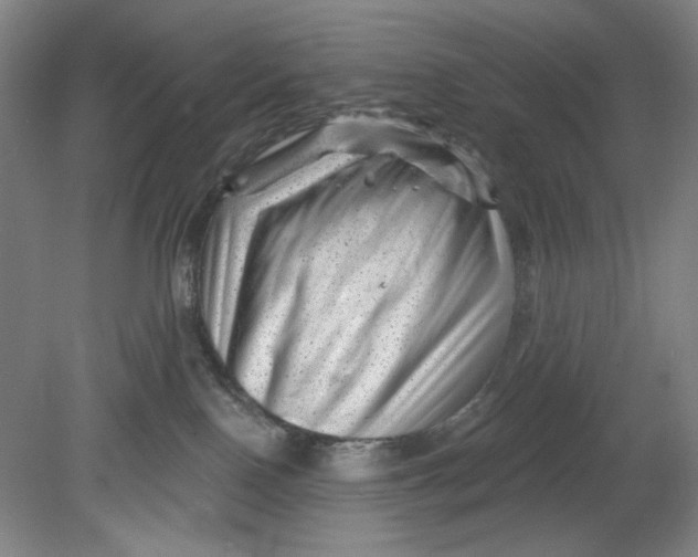 X0000080740090200701051156