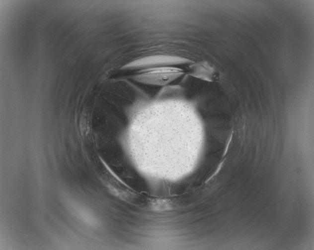 X0000080740091200701051156