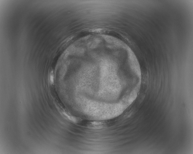 X0000080740095200701051156