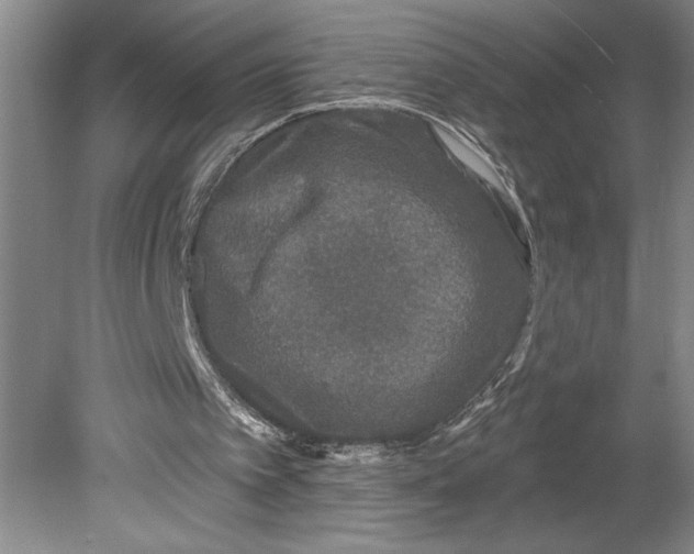 X0000080740097200701051155