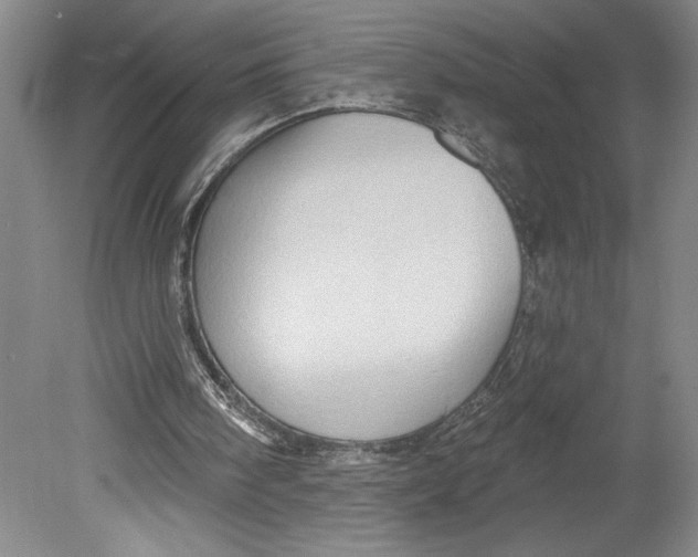 X0000080740098200701051155