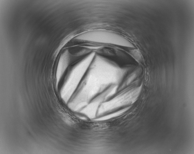 X0000080740099200701051155