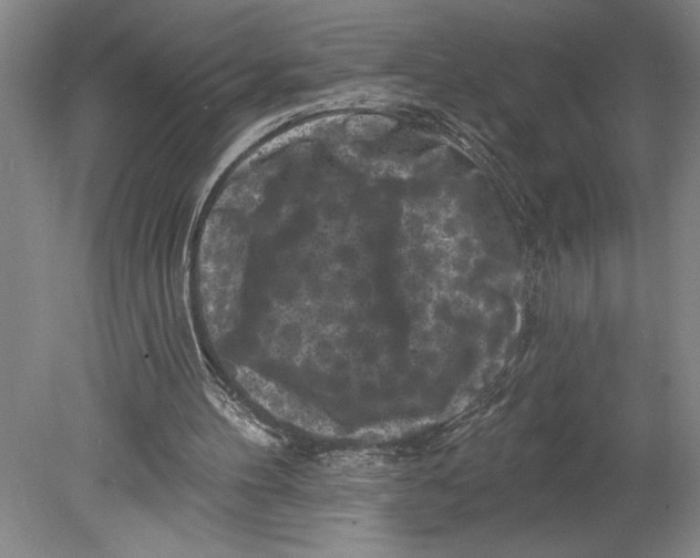 X0000080740100200701051155