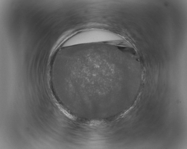 X0000080740101200701051155