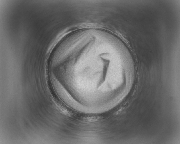 X0000080740103200701051155