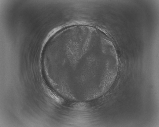 X0000080740104200701051155