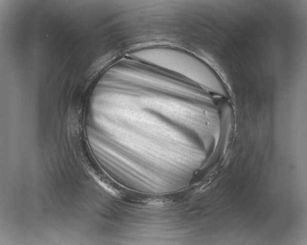 X0000080740105200701051155