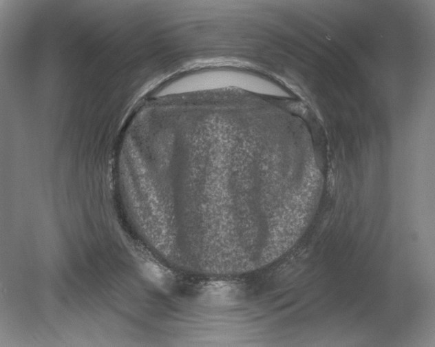 X0000080740111200701051155