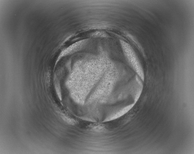 X0000080740113200701051155