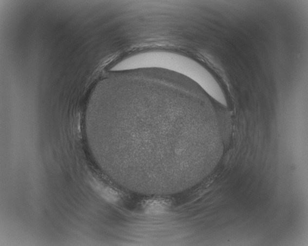 X0000080740115200701051155